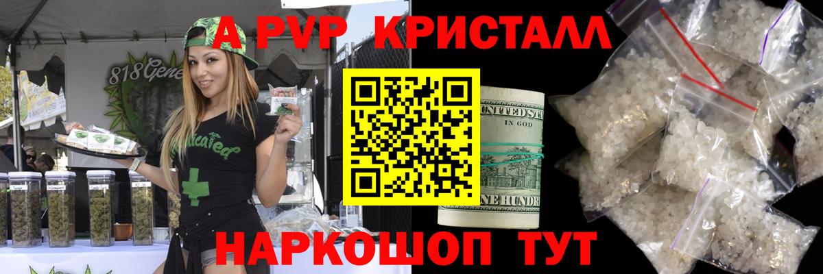 Лесной  A PVP крисы CK  Вход с VPN 