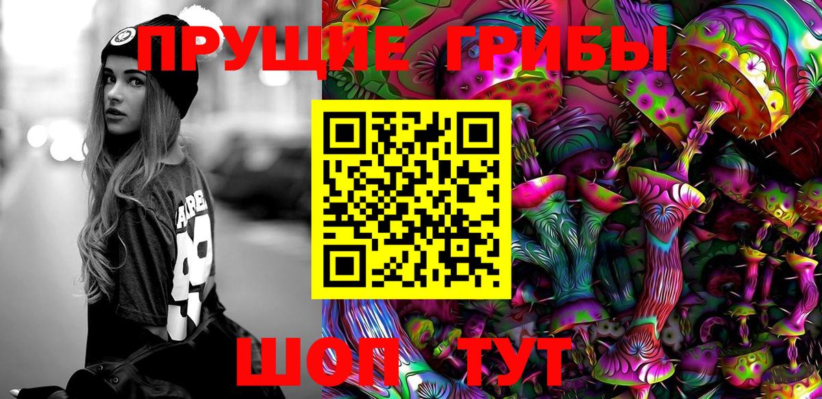Псилоцибиновые грибы ЛСД Лесной