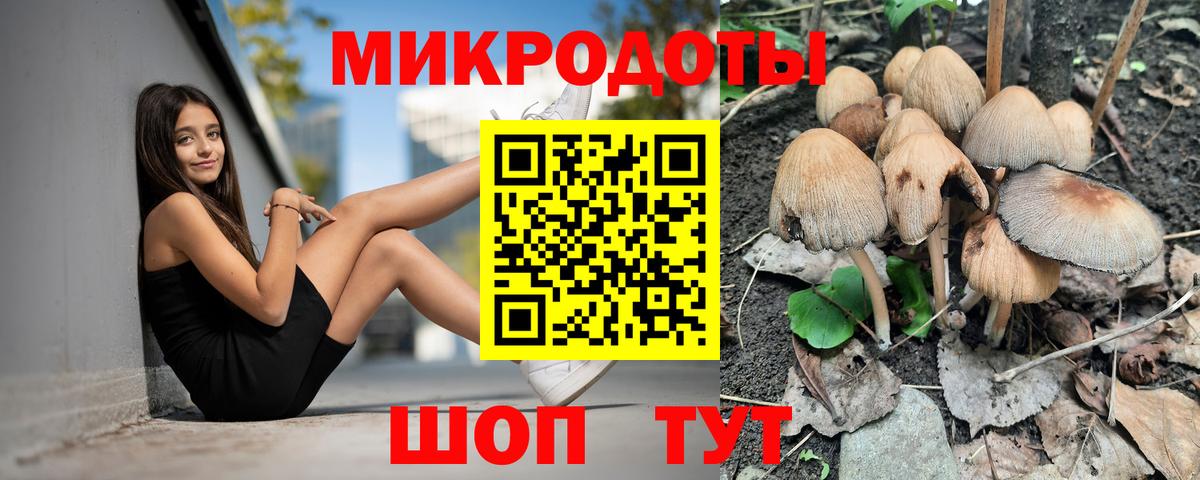 Псилоцибиновые грибы GOLDEN TEACHER  купить наркотики цена  Лесной  Вход с VPN 
